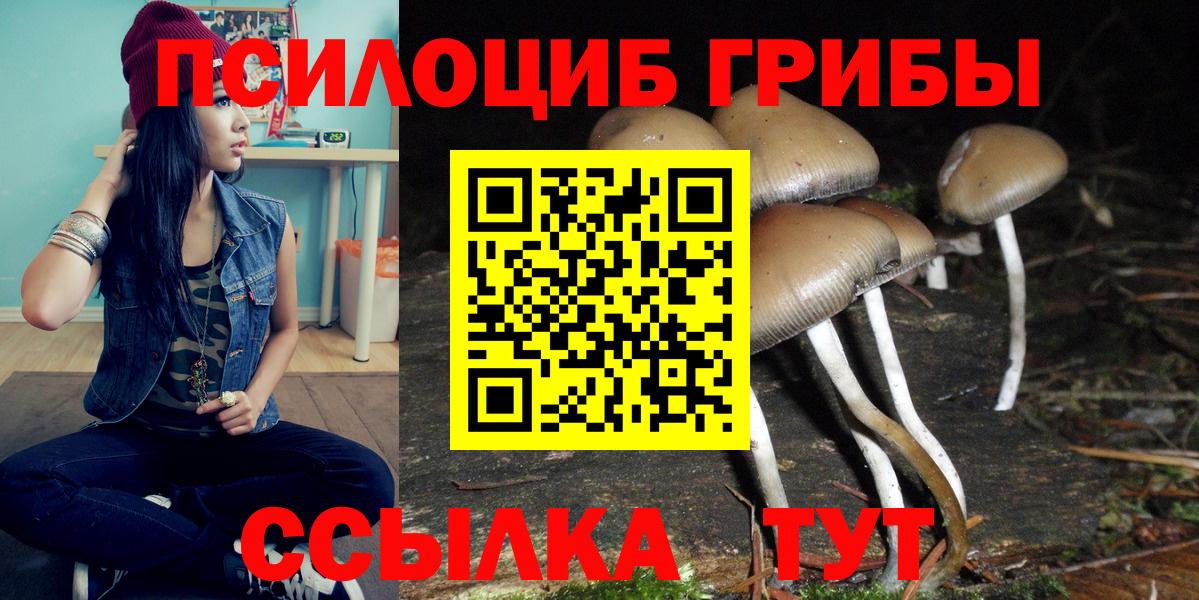 Псилоцибиновые грибы Magic Shrooms  Вход с VPN  Свободный  Псилоцибиновые грибы мухоморы 